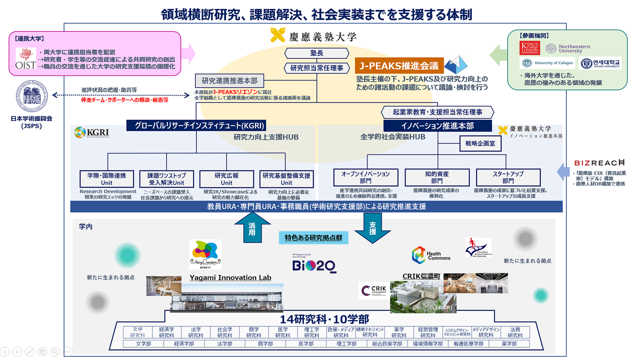 実施体制（2024年7月更新）